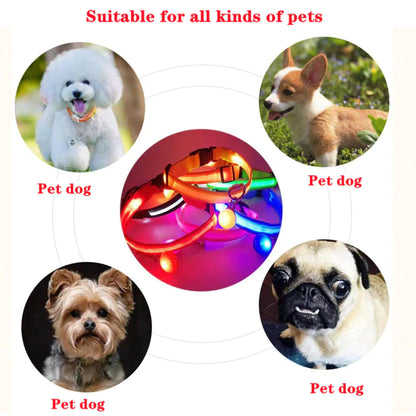 Illuminate Your Pet's Safety: Adjustable LED Flashing Dog Collar - Waterproof & Stylish!