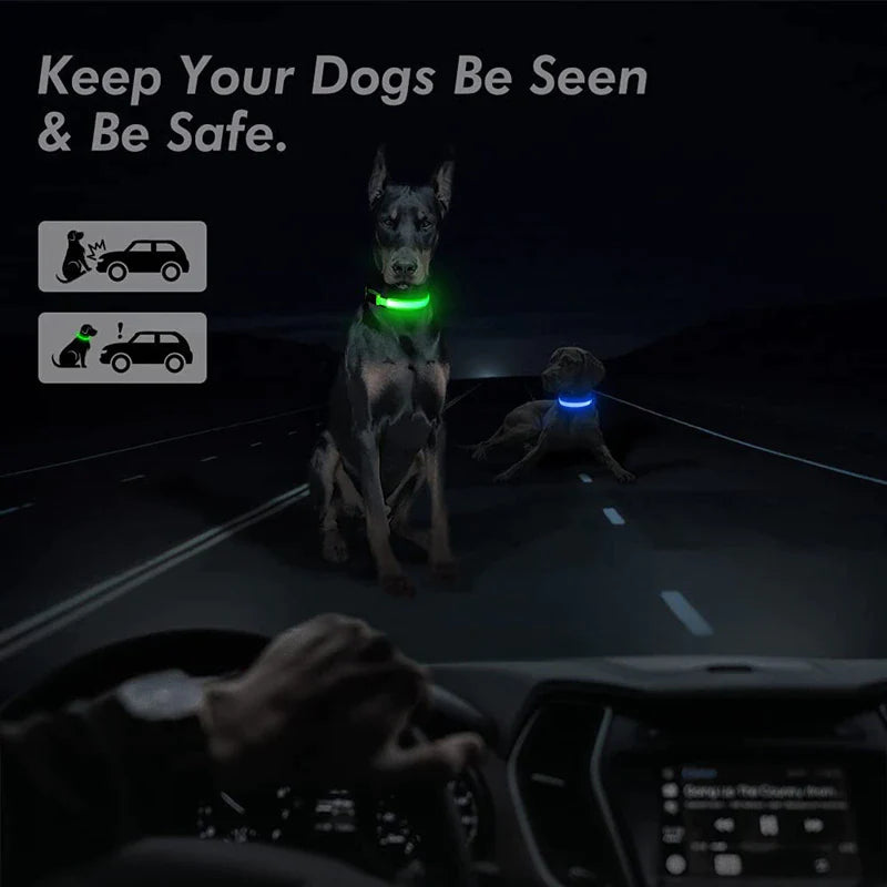 Illuminate Your Pet's Safety: Adjustable LED Flashing Dog Collar - Waterproof & Stylish!