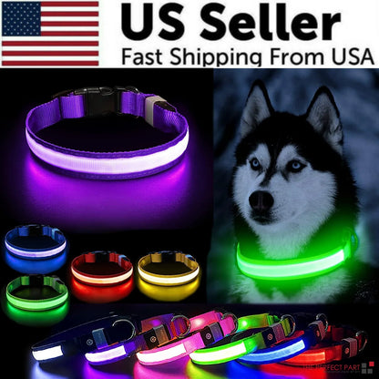 Illuminate Your Pet's Safety: Adjustable LED Flashing Dog Collar - Waterproof & Stylish!