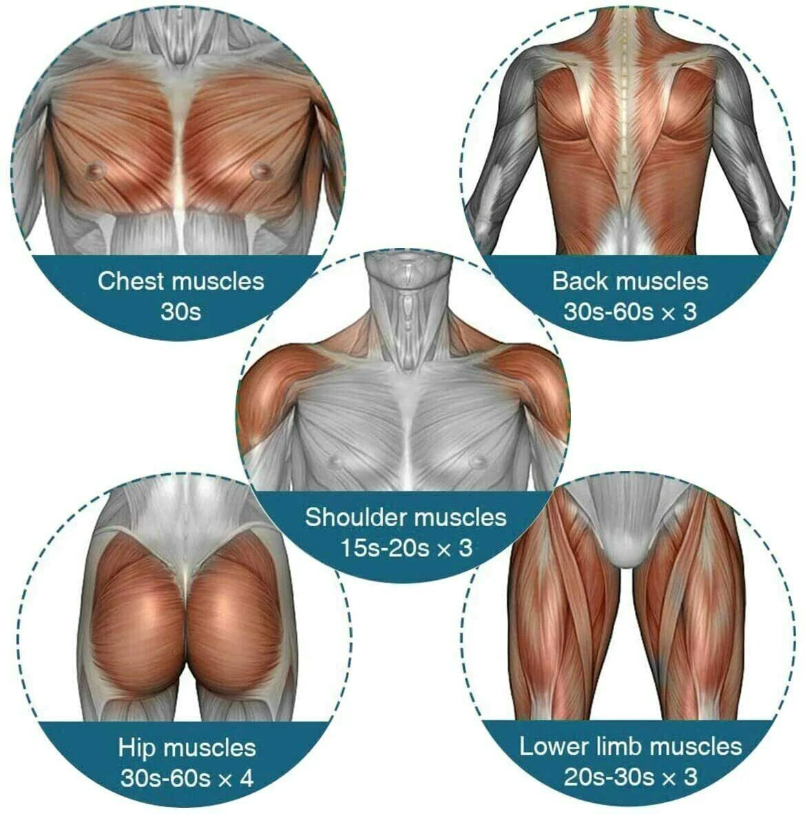 Deep Tissue Massage Gun – 6-Speed Percussion Muscle Massager with 4 Heads | Quiet Handheld Therapy Gun for Pain Relief, Recovery & Relaxation