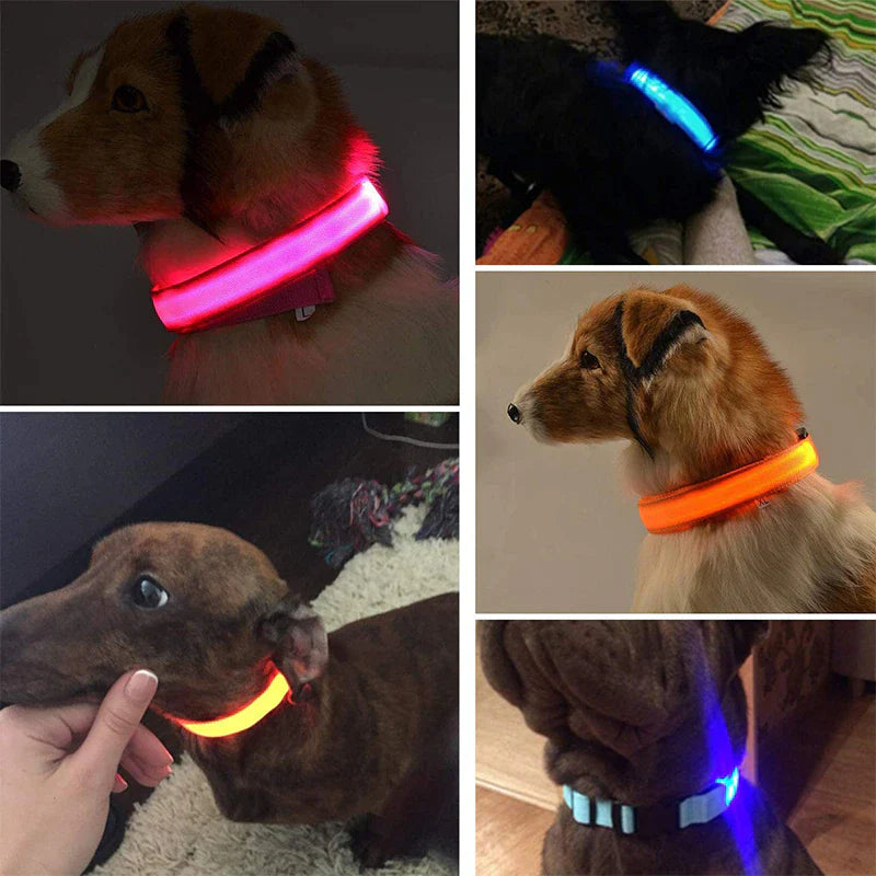Illuminate Your Pet's Safety: Adjustable LED Flashing Dog Collar - Waterproof & Stylish!