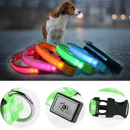 Illuminate Your Pet's Safety: Adjustable LED Flashing Dog Collar - Waterproof & Stylish!