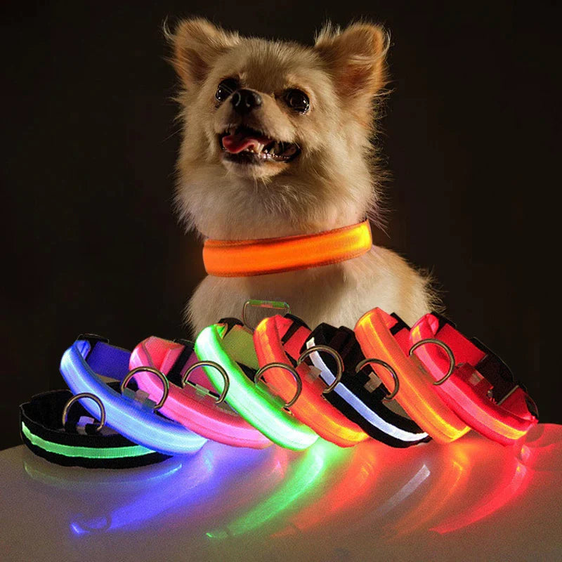 Illuminate Your Pet's Safety: Adjustable LED Flashing Dog Collar - Waterproof & Stylish!